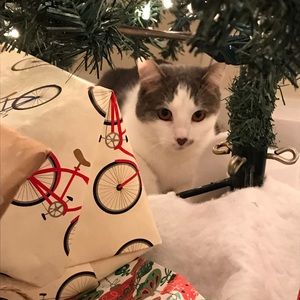 Meet your Posher, Kaylee